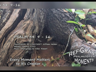 Ref-Grass Psalm 34: 9 - 16