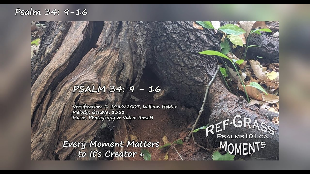 Ref-Grass Psalm 34: 9 - 16