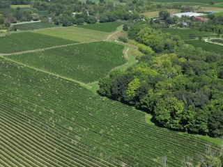 Psalm 34 - On a Guitar