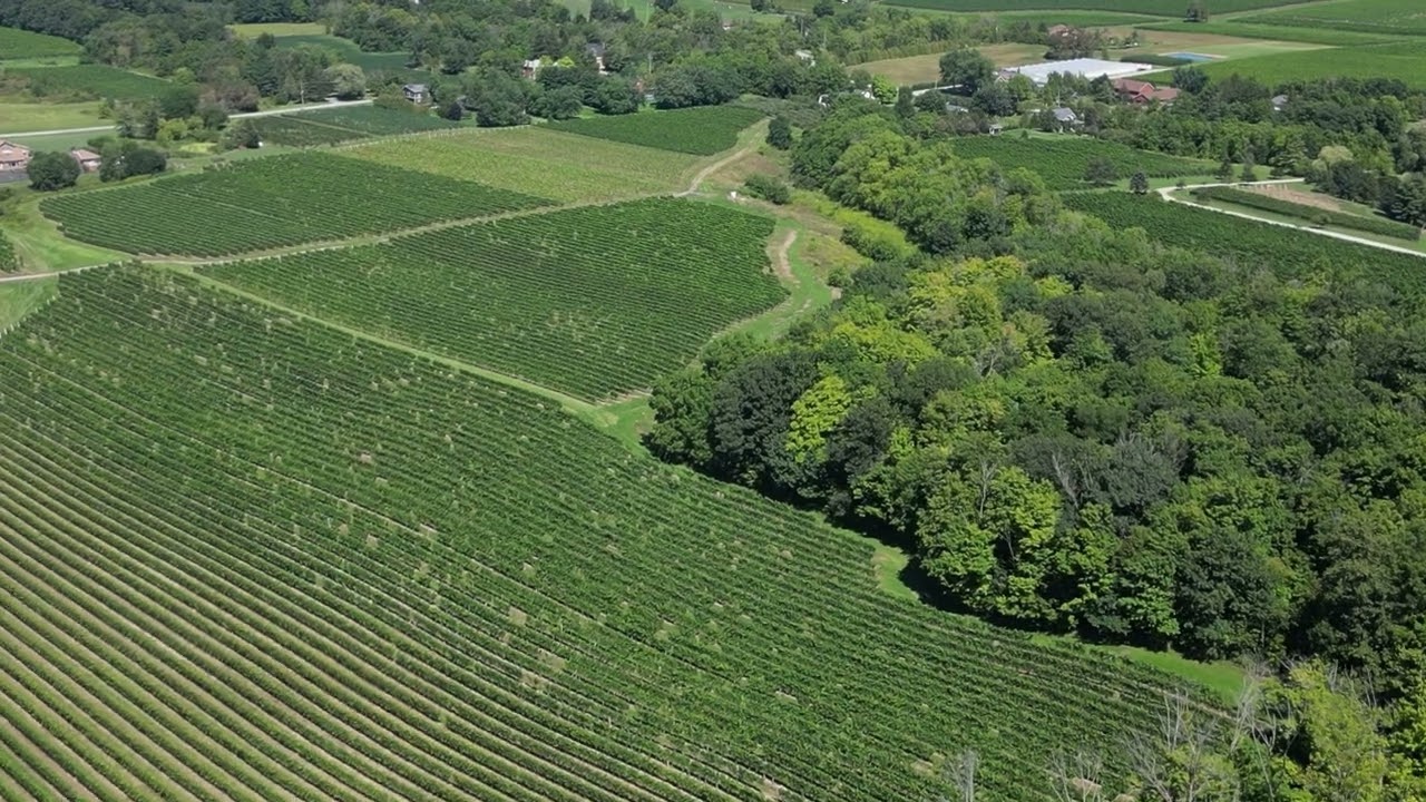 Psalm 34 - On a Guitar